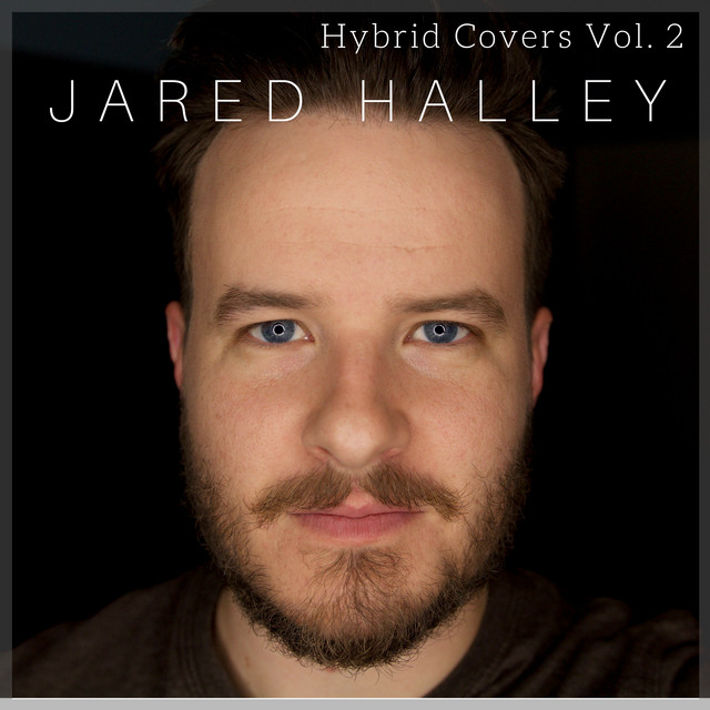 Hybrid Covers, Vol. 2 cover art