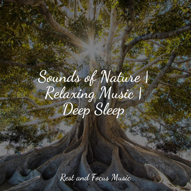 Sounds of Nature | Relaxing Music | Deep Sleep - Album by The Sleep ...
