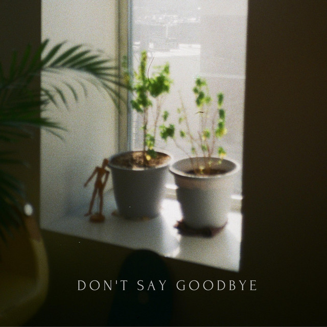 Don't Say Goodbye cover art