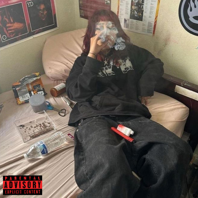 PURO PINCHE PLUGG 2 cover art