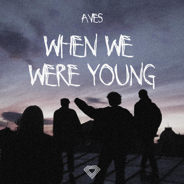 When We Were Young - Techno Mix
