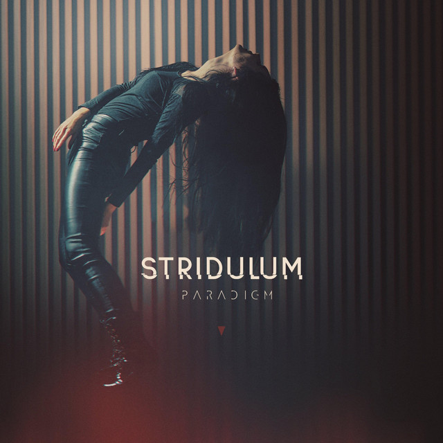 Paradigm cover art