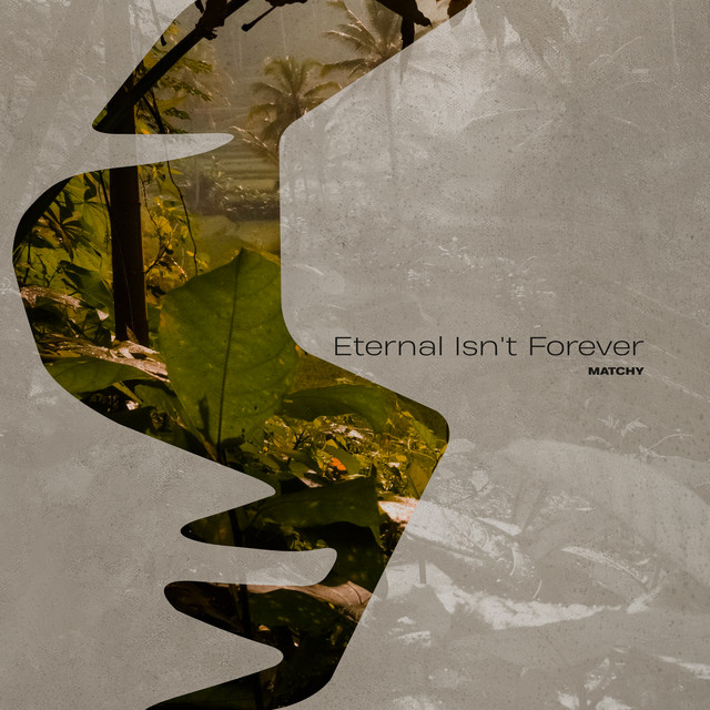 Eternal Isn't Forever - Extended Mix album art
