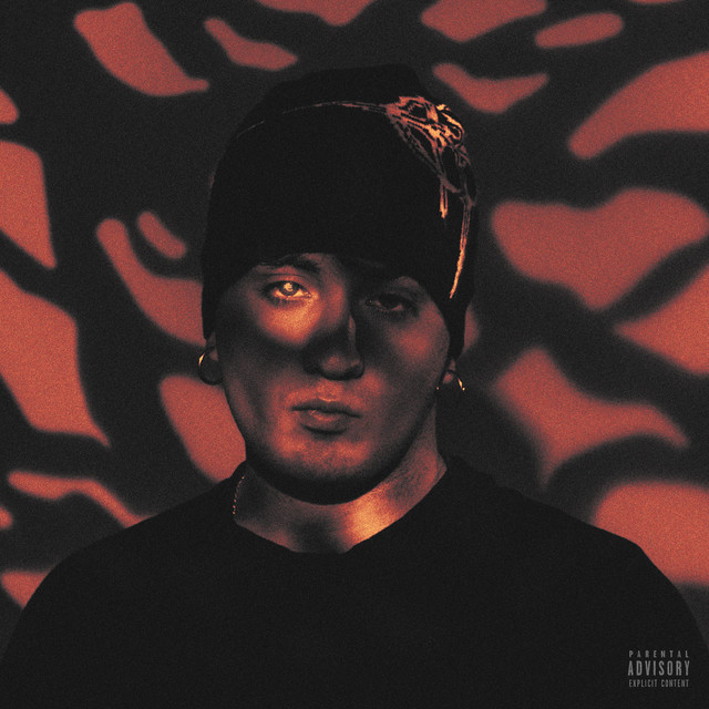NON È GRATIS cover art