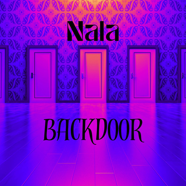 Cover art for Backdoor