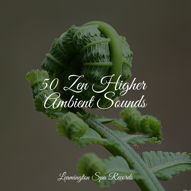50 Zen Higher Ambient Sounds cover