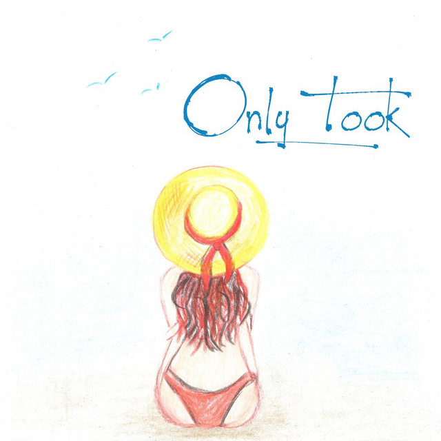 Only Took cover art