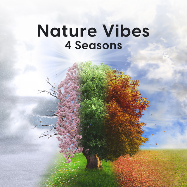 Nature Vibes: 4 Seasons