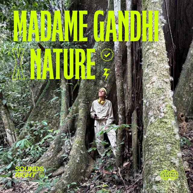 undefined album image