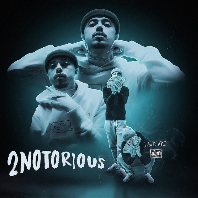 2Notorious cover art