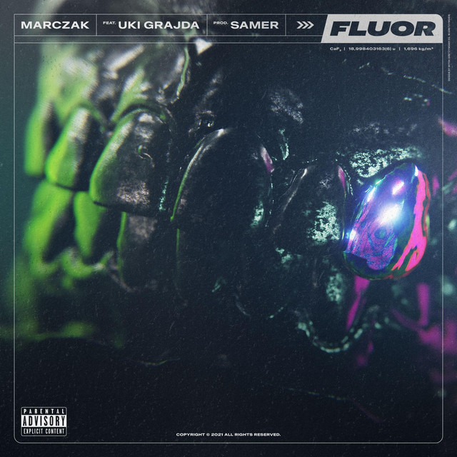 Fluor cover art