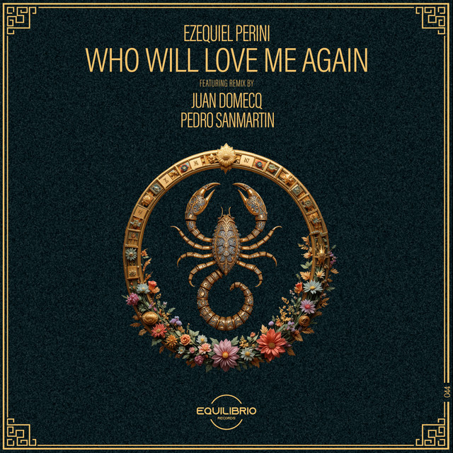 Who Will Love Me Again - Pedro Sanmartin Remix cover art