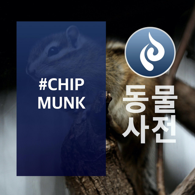 ANIMAL #CHIPMUNK - Album by GOD DO I DO | Spotify