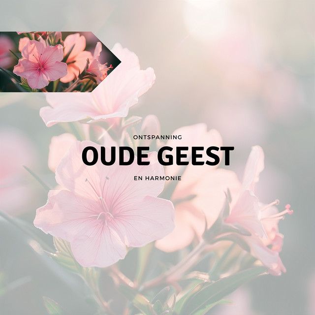 Rustgevende muziek cover art
