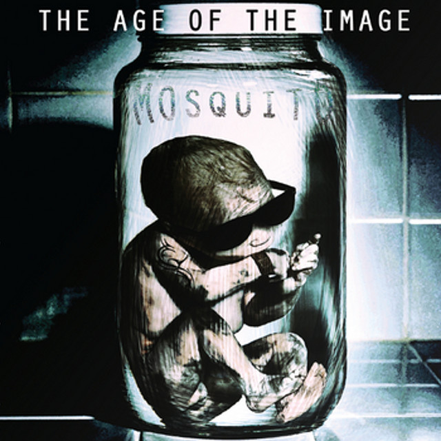 The Age of the Image cover art