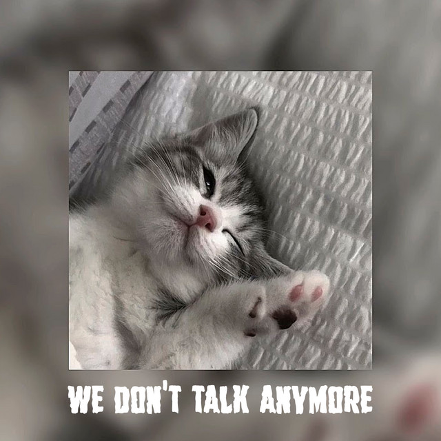 we don't talk anymore (speed up) [Remix] - Single by Splice Records ...