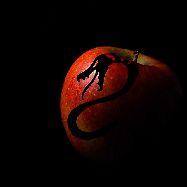 Envious cover art