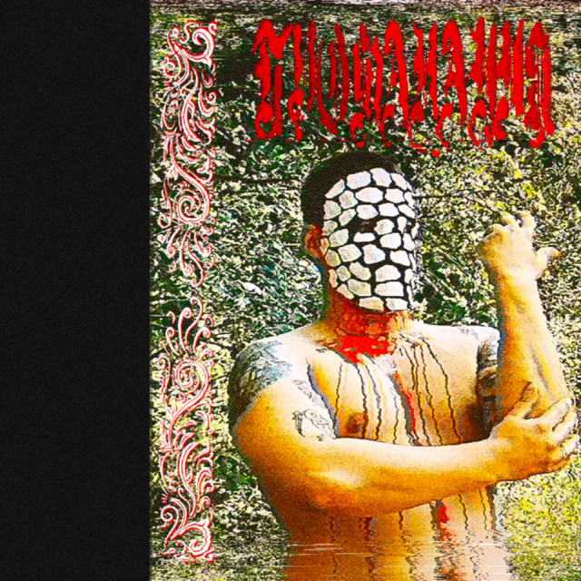 Профанация cover art