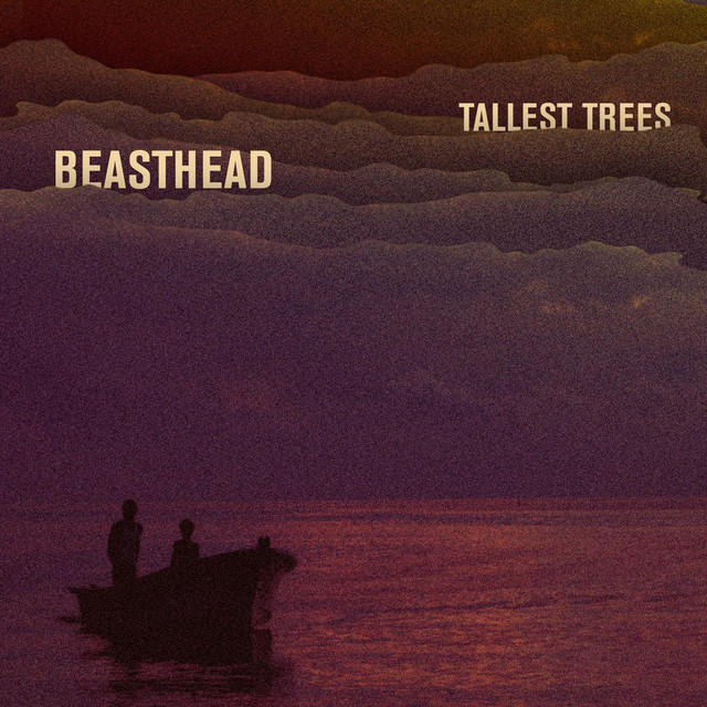 Tallest Trees cover