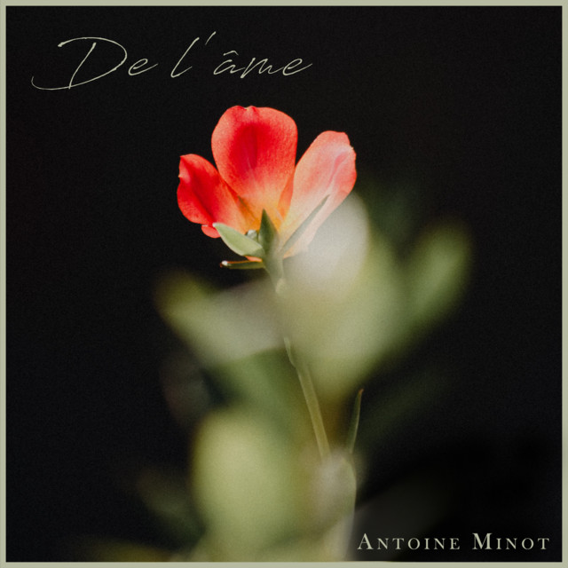 De l'âme cover art