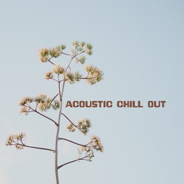 Acoustic Chill Out cover art