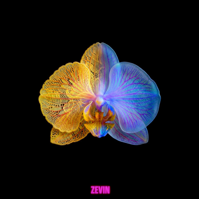 My Mind cover art
