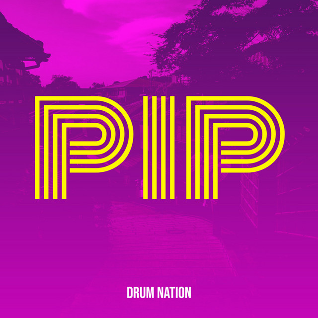 Pip cover