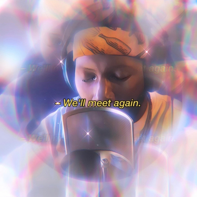 We'll Meet Again. cover art