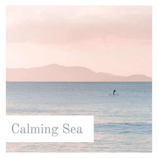 Calming Sea: Relaxing Ocean Waves, Seagulls, Paradisiac Tropical Beach with Sun, Blue Sky and Nature Sounds