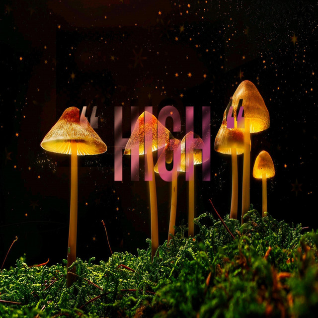 High cover art