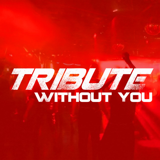Without You (David Guetta feat. Usher Tribute) - Single cover