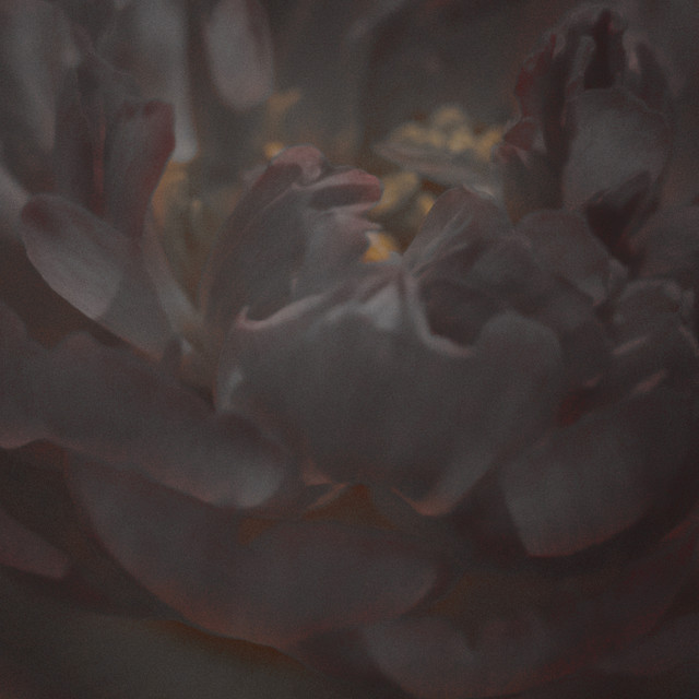 Oneirophagia cover art
