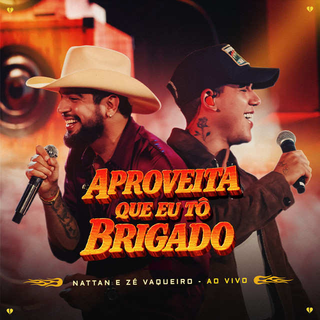 Aproveita Que Eu Tô Brigado (Ao Vivo) cover art