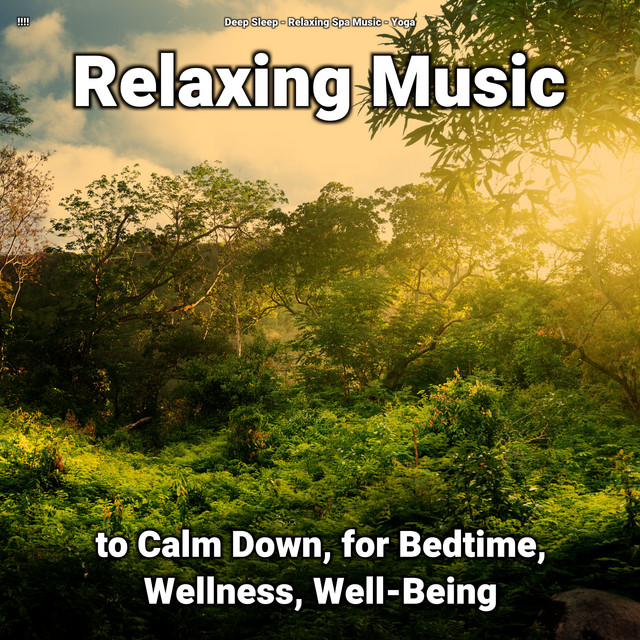 Relaxation Music Pt. 8 - song and lyrics by Deep Sleep, Relaxing Spa ...