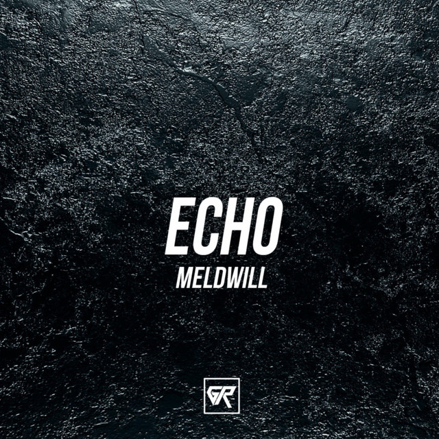 Echo - Single by Meldwill | Spotify