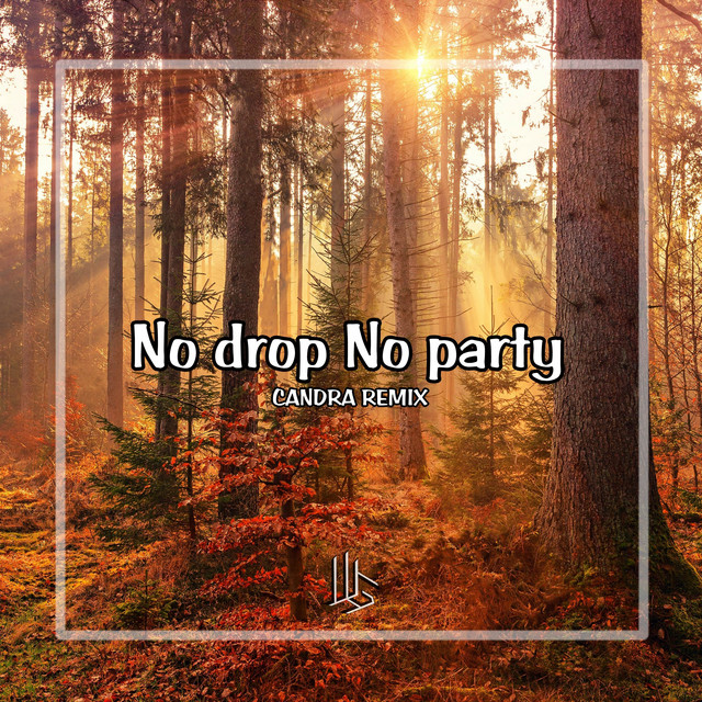 No drop No party cover art