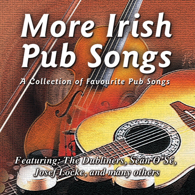 確認用Dublin Pub Songs　アイルランド音楽 確認用Dublin Pub Songs アイルランド音楽 Dublin Pub Songs 2 CD