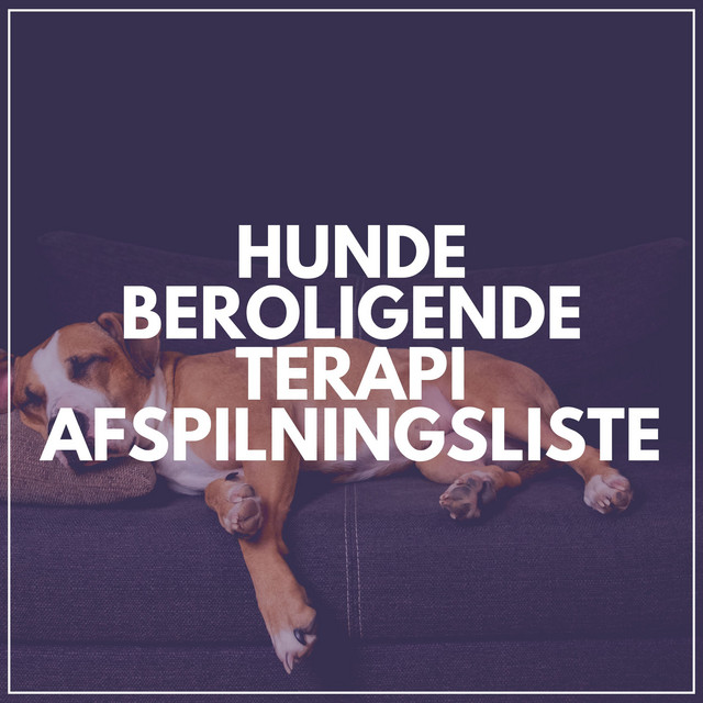 Hunde Beroligende Terapi Afspilningsliste cover art