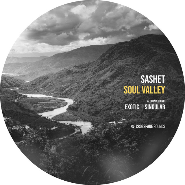 Soul Valley cover art