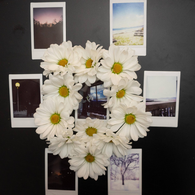 Daisy May cover art