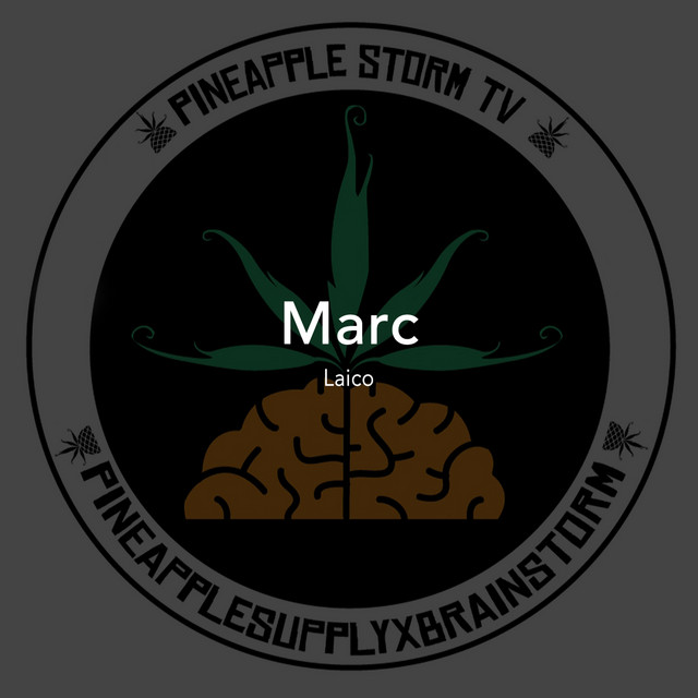 Laico cover art