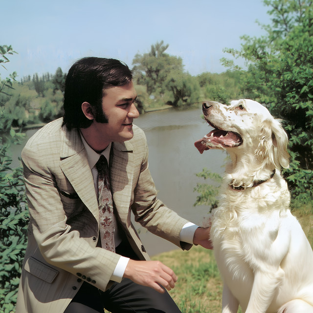 Compilație Anii '70 cover art