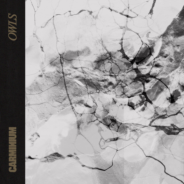 Owls cover art