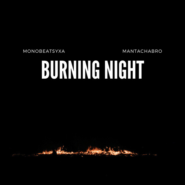 Обкладинка: Burning Night — Monobeatsyxa