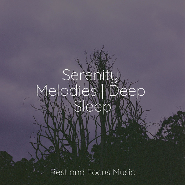 Serenity Melodies | Deep Sleep - Album by Studying Music | Spotify