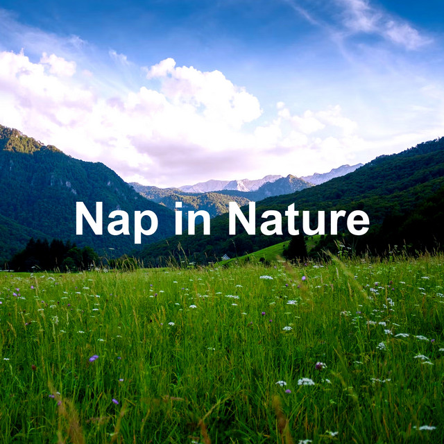 Nap in Nature - Album by Nature Recordings | Spotify