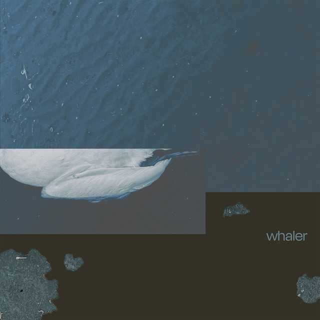 Grotesqualizer