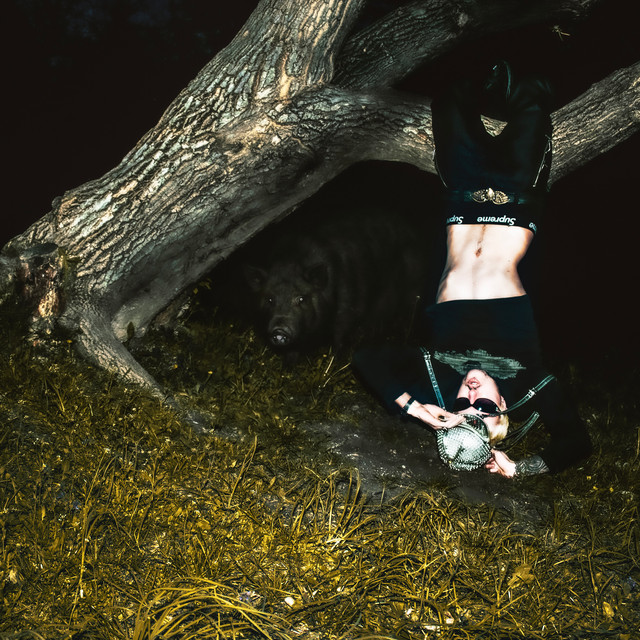 Cover art: Свиня — AveKucher