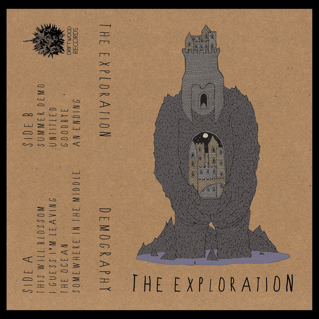 Demography cover art