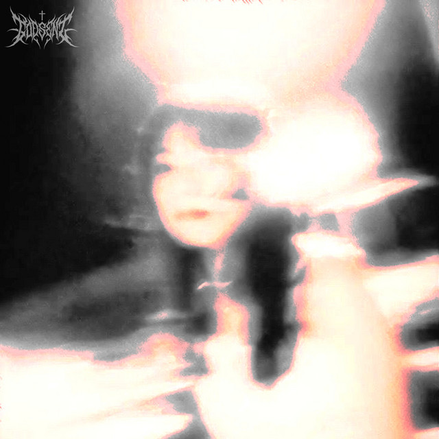 void cover art